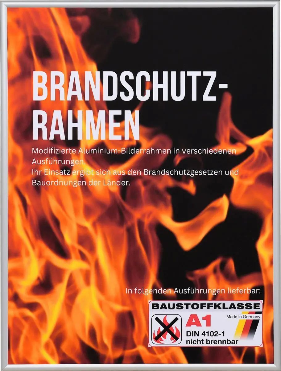 Frontansicht eines Brandschutzrahmens mit Halbrundprofil aus silbernen, eloxiertem Aluminium 