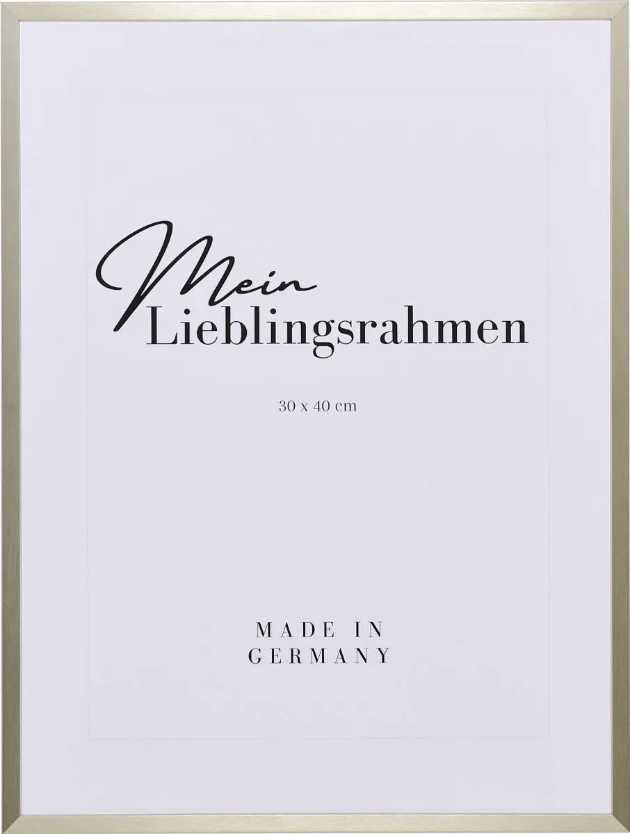 Frontansicht eines champagnerfarbenen, matt eloxierten Aluminiumrahmen